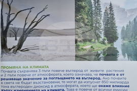 Варна - „Спасете почвата" - пътуваща изложба