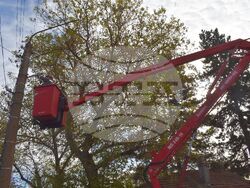 Снимки: Община Разград