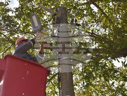 Снимки: Община Разград