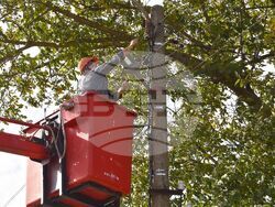 Снимки: Община Разград