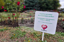 Розова градина в памет на донорите - рози - засаждане