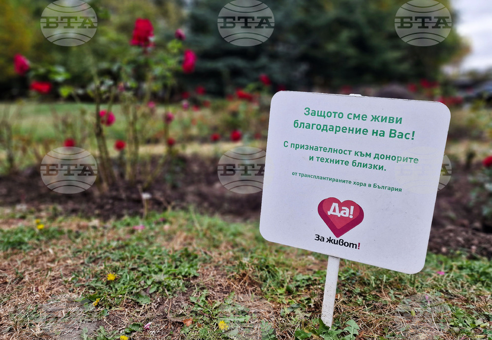 Розова градина в памет на донорите - рози - засаждане