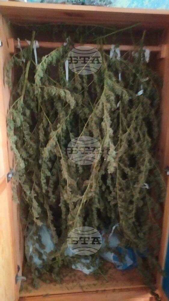 Man Arrested in Petrich after Border Police Seize Cannabis