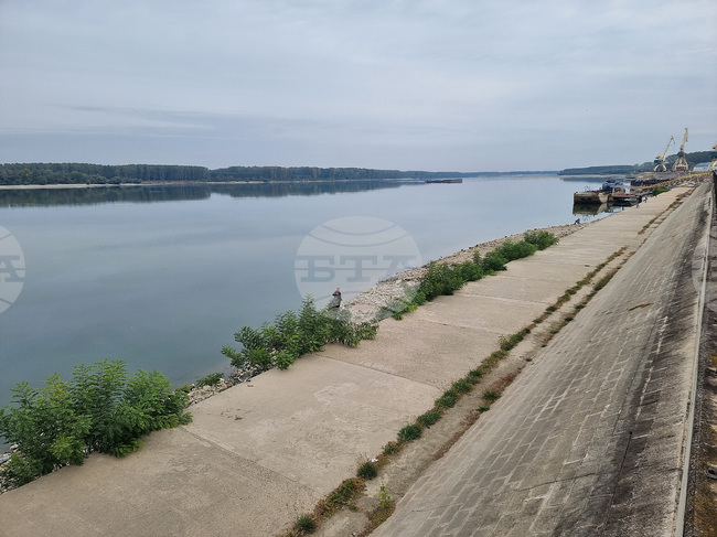 Лом - река Дунав - ниво