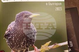 Българско дружество за защита на птиците - доклад 