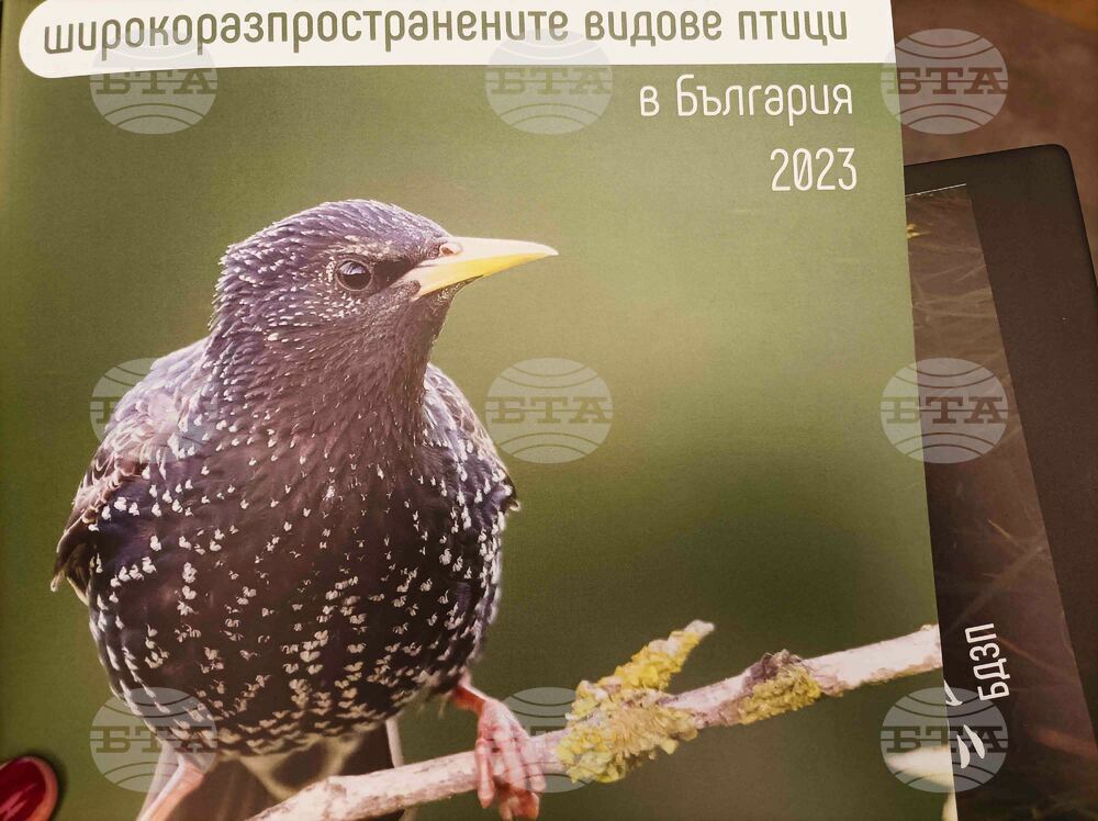 Българско дружество за защита на птиците - доклад