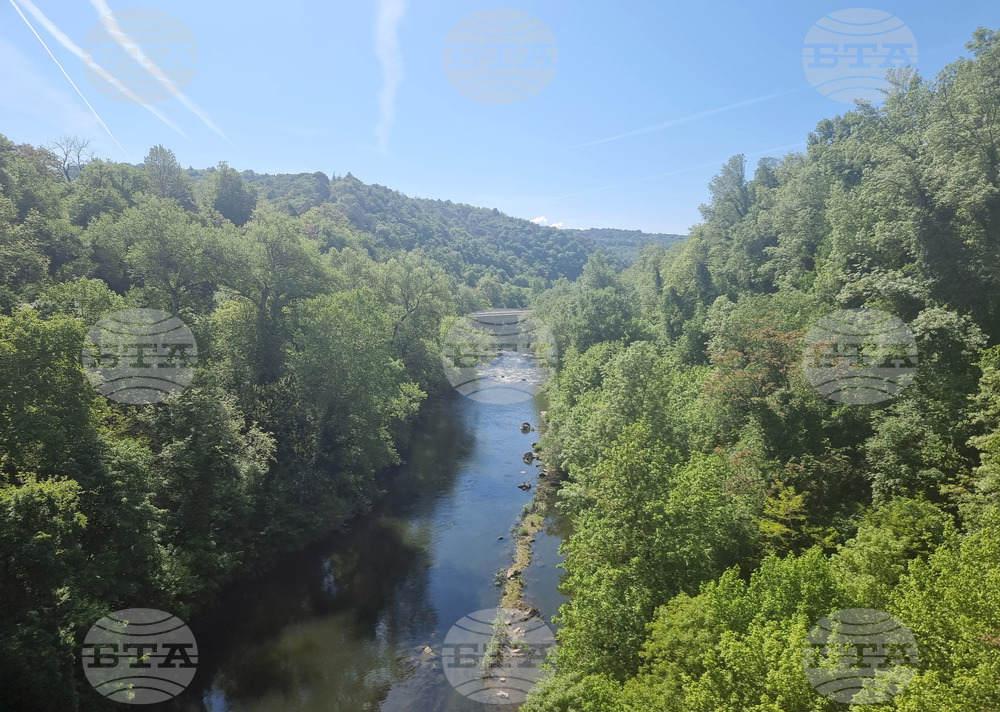 Прогноза за времето