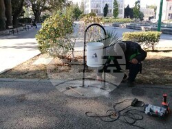 Снимка: Община Видин