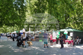 Стара Загора Областна панорама - образование