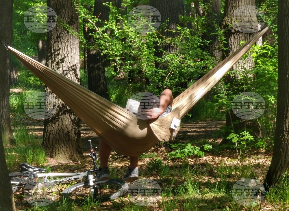 Парк - ежедневие