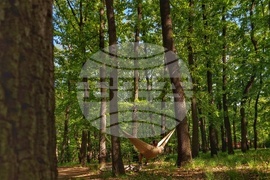 Парк - ежедневие