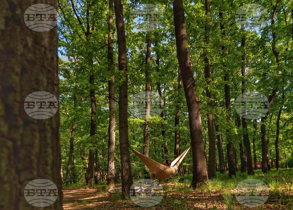 Парк - ежедневие