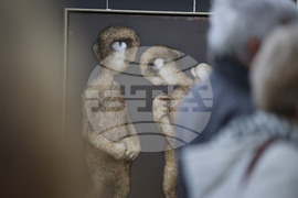 Благоевград - изложба