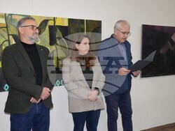 Снимка: Община Видин