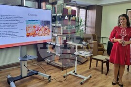 Търговище - Даниела Начева - книга