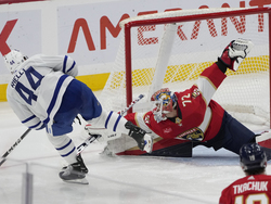 Maples Leafs Panthers Hockey
