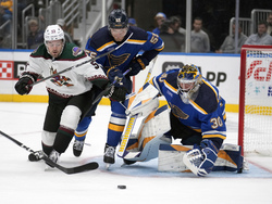 Coyotes Blues Hockey