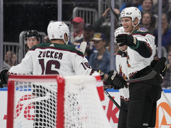 Coyotes Blues Hockey