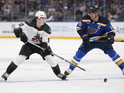 Coyotes Blues Hockey