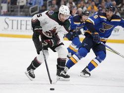 Coyotes Blues Hockey