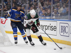 Coyotes Blues Hockey