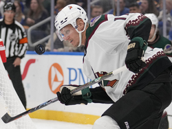 Coyotes Blues Hockey