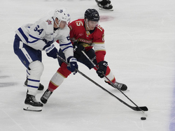 Maples Leafs Panthers Hockey