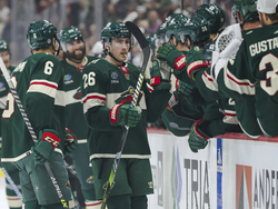 Kings Wild Hockey