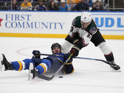 Coyotes Blues Hockey