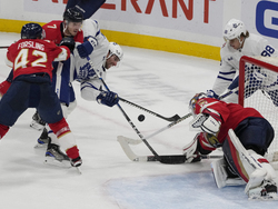 Maples Leafs Panthers Hockey