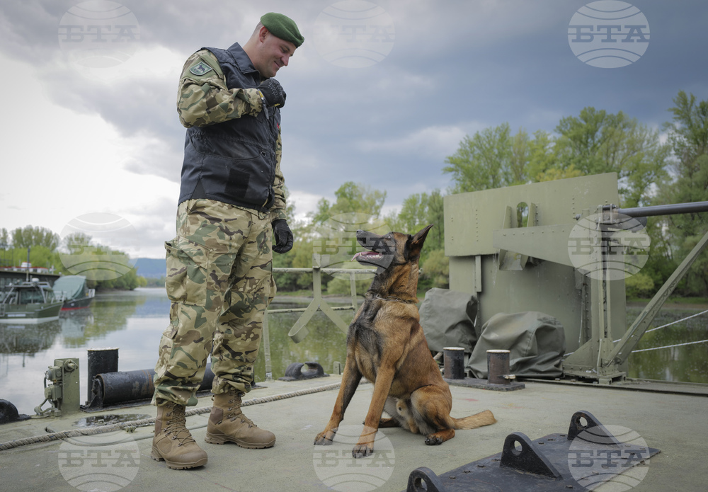 Турция тренира първото куче подводен търсач за участие в спасителни мисии
