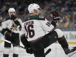 Coyotes Blues Hockey