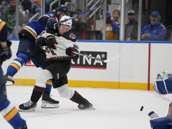 Coyotes Blues Hockey