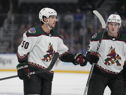 Coyotes Blues Hockey