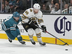 Bruins Sharks Hockey