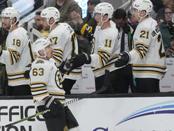Bruins Sharks Hockey
