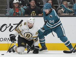 Bruins Sharks Hockey