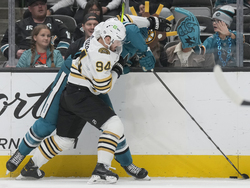 Bruins Sharks Hockey