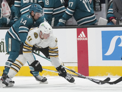 Bruins Sharks Hockey