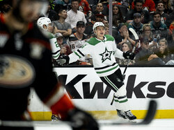 Stars Ducks Hockey