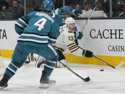 Bruins Sharks Hockey