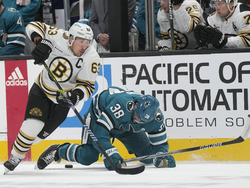 Bruins Sharks Hockey