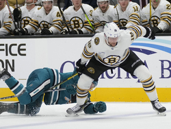 Bruins Sharks Hockey