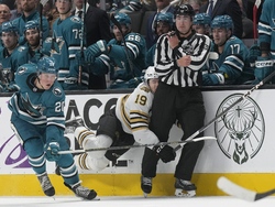 Bruins Sharks Hockey