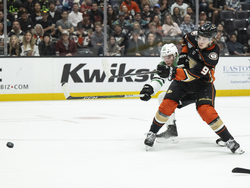 Stars Ducks Hockey