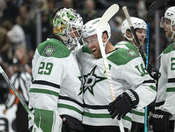 Stars Ducks Hockey