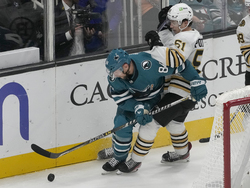 Bruins Sharks Hockey