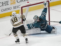 Bruins Sharks Hockey