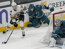 Bruins Sharks Hockey