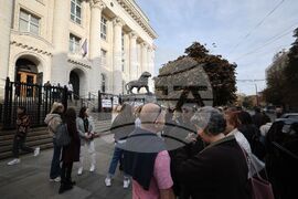 Съдебна палата - Евгения Владимирова - дело